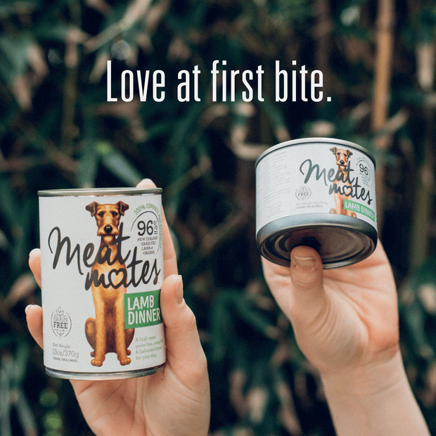 Buy Meat Mates Grain Free Beef Dinner Wet Dog Food Cans Online Low