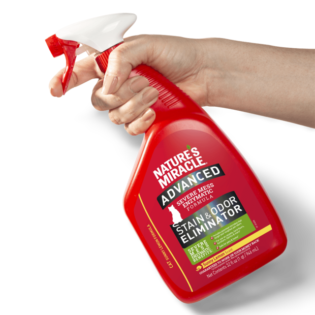 Buy Natures Miracle Advanced Formula Cat Stain And Odour Eliminator