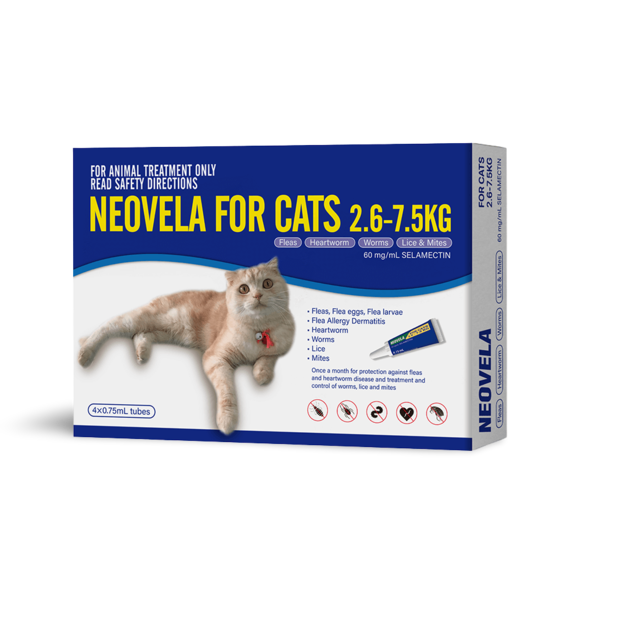 Buy Neovela Flea And Worming For Cats Online Better Prices At Pet Circle