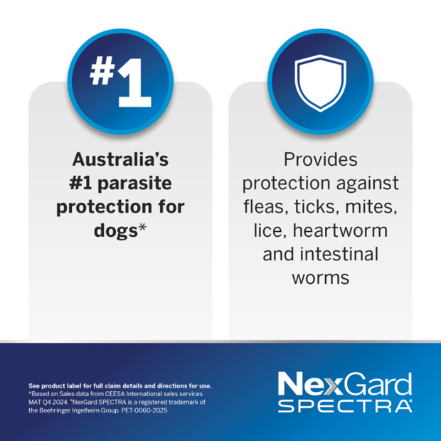 Buy Nexgard Spectra Small Dog Online Better Prices At Pet Circle buy-nexgard-spectra-small-dog-online-better-prices-at-pet-circle