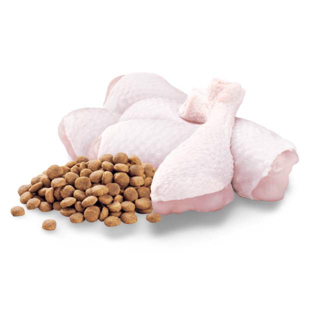 Buy Optimum Puppy Dry Dog Food Chicken Online Better Prices At Pet Circle