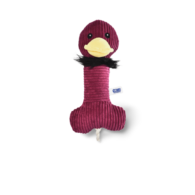 Buy Paws For Life Platypus With Rope And Squeaker Plush Dog Toy Online