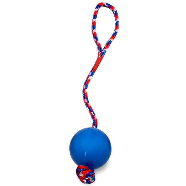 Buy Paws For Life Solid Rubber Ball With Rope Online Better Prices At