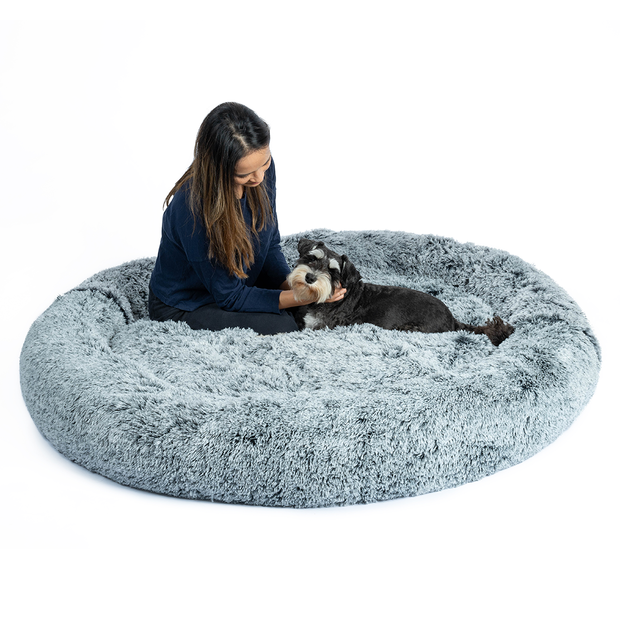 Buy Pawz Human Size Memory Foam Calming Pet Mattress Charcoal Online