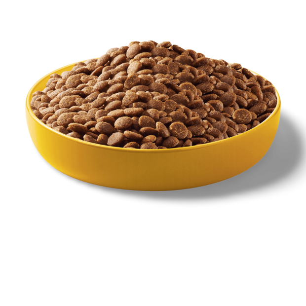 Pedigree Puppy Food Chicken And Rice Buy Pedigree Puppy Chicken Rice Online | Low Prices, Free Shipping