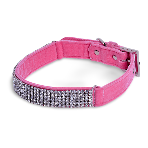 petface dog collar