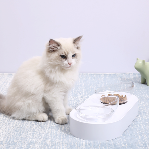 Buy Petkit Fresh Nano Double Bowl Online | Better Prices At Pet Circle
