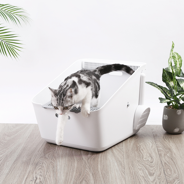 Buy Petkit Pura Cat Litter Box Online Better Prices At Pet Circle