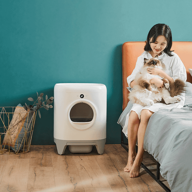 Buy Petkit Pura X Automated Self Clean Cat Litter Box Online Better