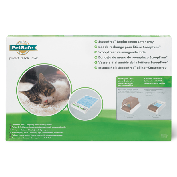 scoopfree dimensions