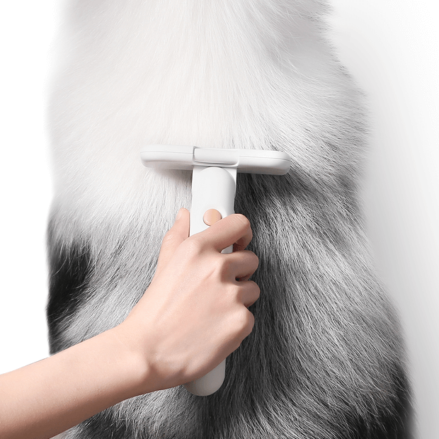 Buy Pidan Cat Brush Deshedding Online Low Prices, Free Shipping