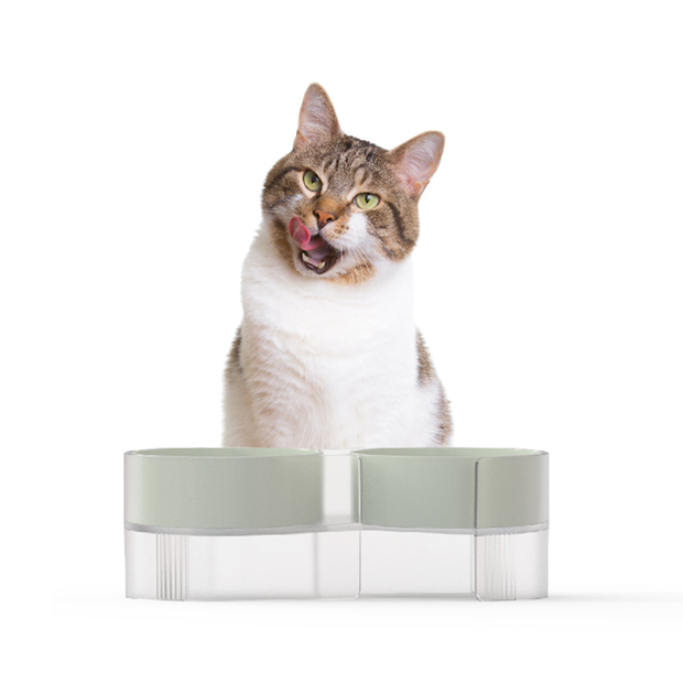 Buy Pidan Dual Cat Bowl Green Online Better Prices At Pet Circle