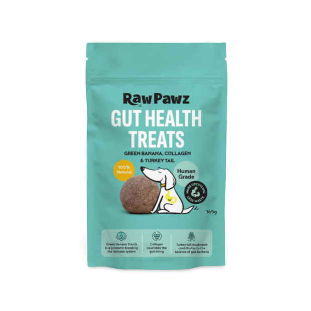 Is Raw Meat Diet Safe and Healthy for Dogs? - Dog Wisdom Hub