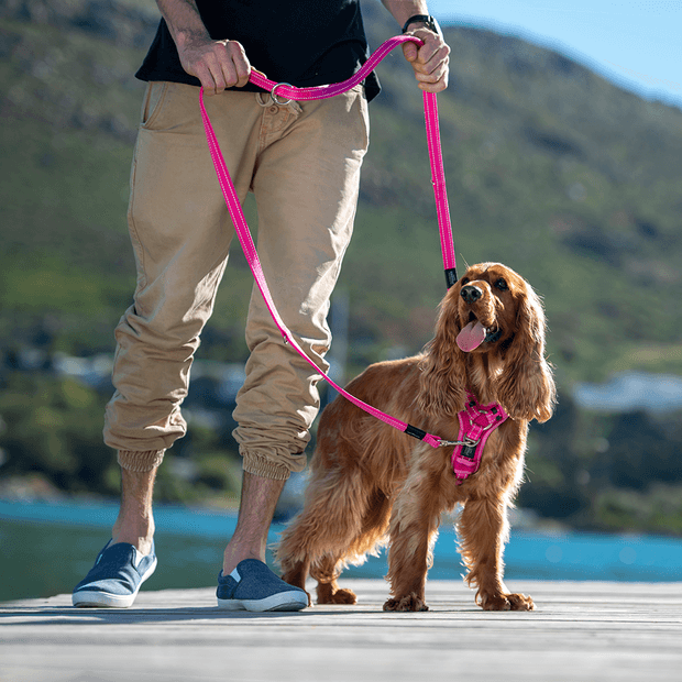 Buy Rogz Harness Control Red Online Low Prices, Free Shipping