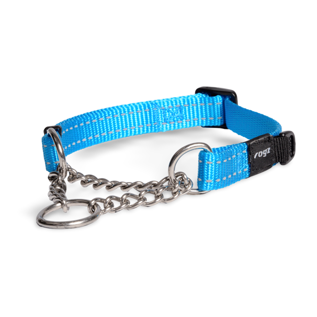 Buy Rogz Obedience Collar Turquoise Online Better Prices At Pet Circle