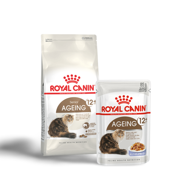 Buy Royal Canin Ageing 12 Plus Dry Cat Food Online Low Prices, Free
