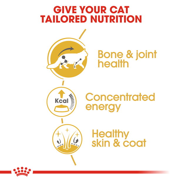 Buy Royal Canin Maine Coon Adult Wet Cat Food Pouches Online Better Prices At Pet Circle