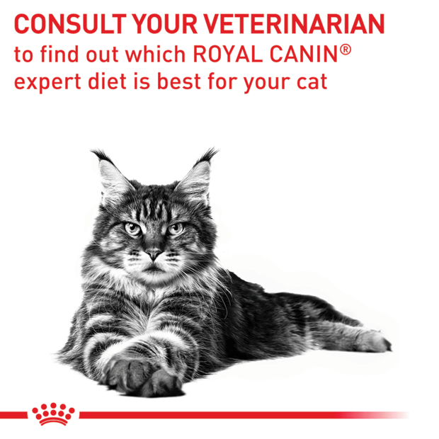 Buy Royal Canin Veterinary Calm Dry Cat Food Online Better Prices At