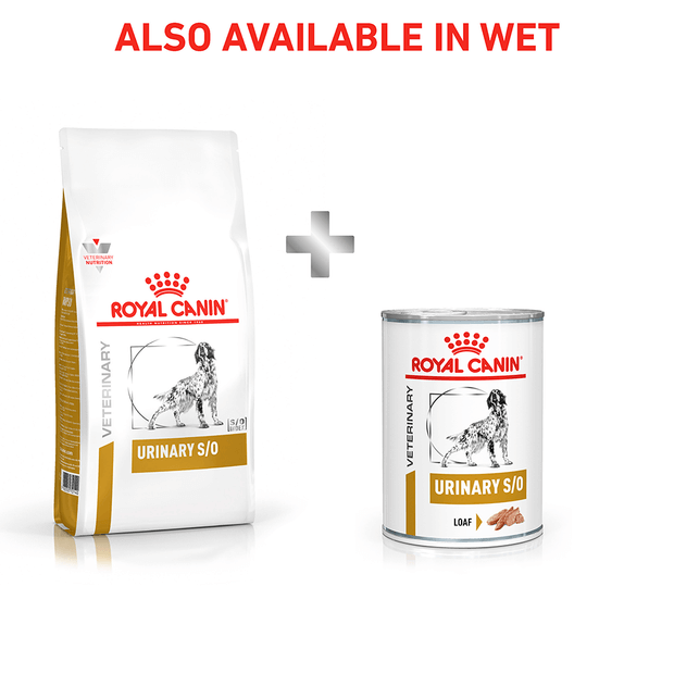 Buy Royal Canin Veterinary Urinary So Dry Dog Food Online Better