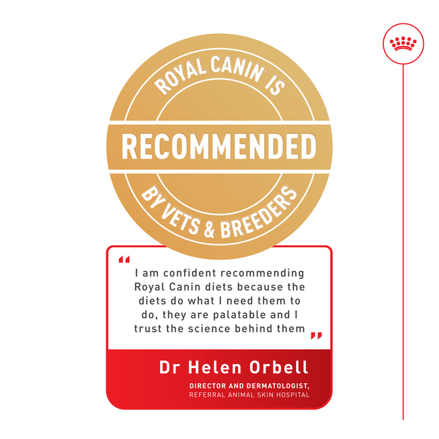 Buy Royal Canin Veterinary Urinary So Wet Dog Food Cans Online Better