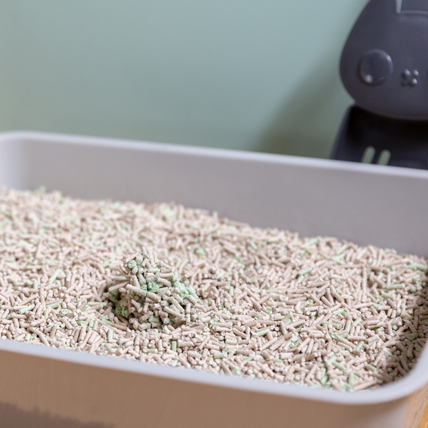 Buy Rufus And Coco Wee Kitty Eco Plant Clumping Litter Online Low