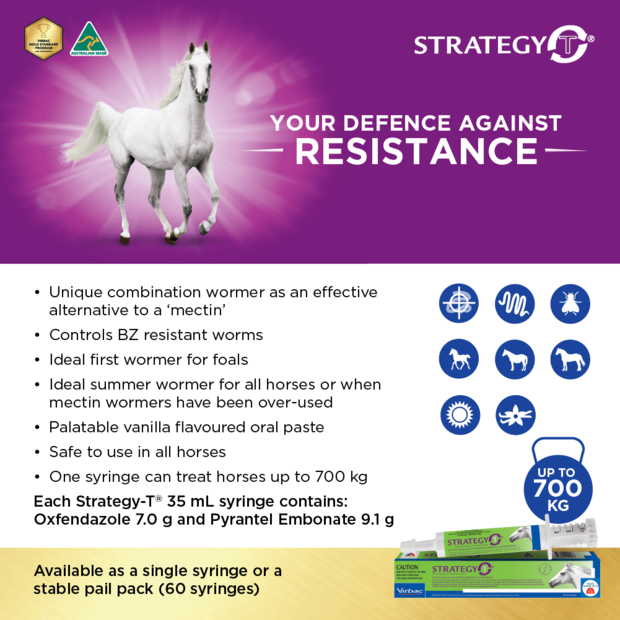 Buy Strategy T Wormer Paste Online Better Prices At Pet Circle