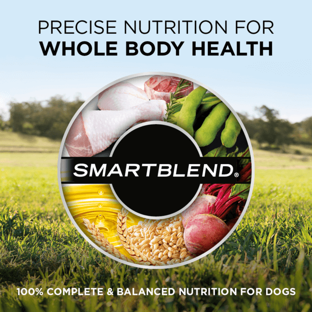 supercoat large puppy