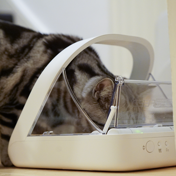 Buy Sure Feed Microchip Pet Feeder Online Better Prices At Pet Circle