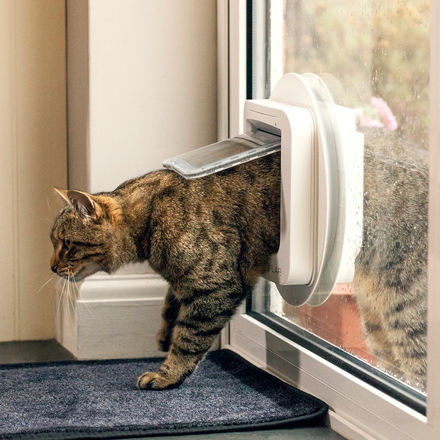 Buy Sureflap Microchip Cat Door Online Better Prices At Pet Circle