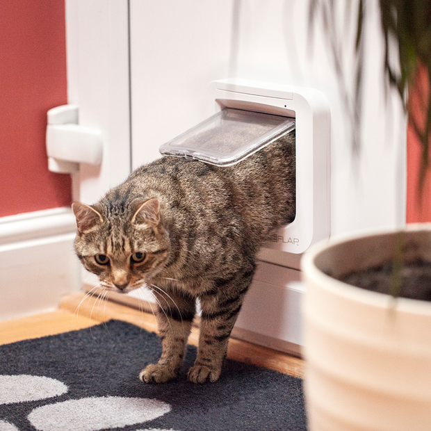 Buy Sureflap Microchip Cat Door Online | Better Prices At Pet Circle