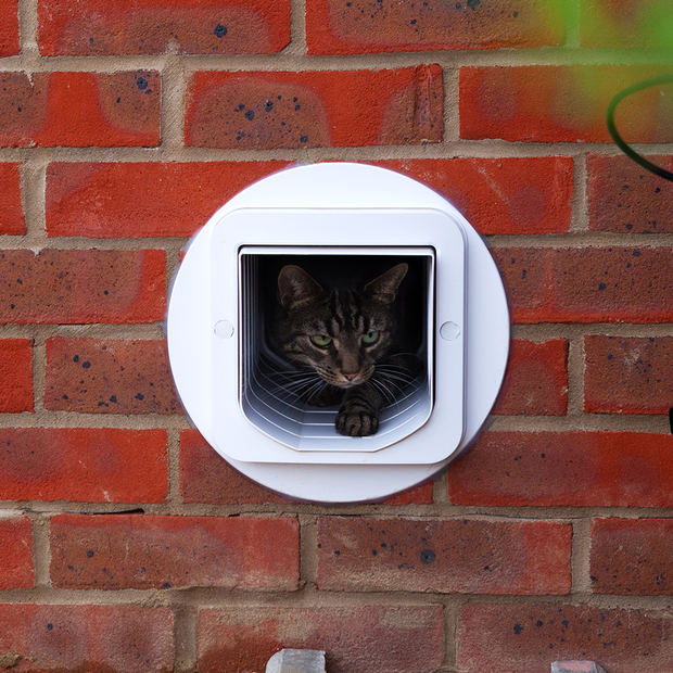 Buy Sureflap Microchip Cat Door Online Better Prices At Pet Circle