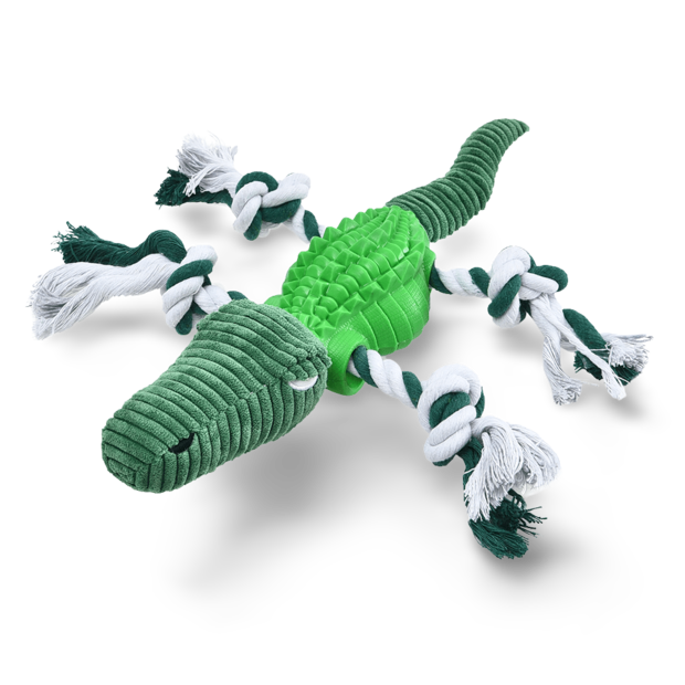Buy The Curious Box Treat Crocodile Dog Toy Online Better Prices At