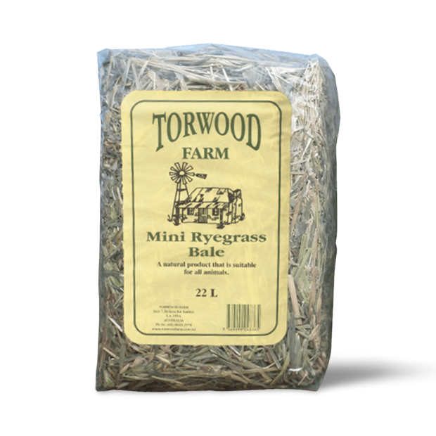 Mini Rye Buy Torwood Farms Mini Rye Grass Bale Online | Better Prices At Pet Circle