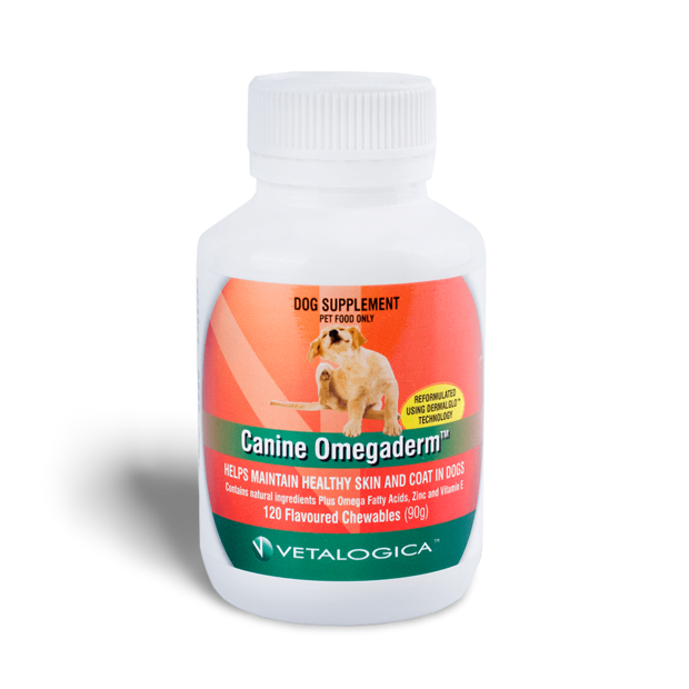 Are Zinc Tablets Bad For Dogs