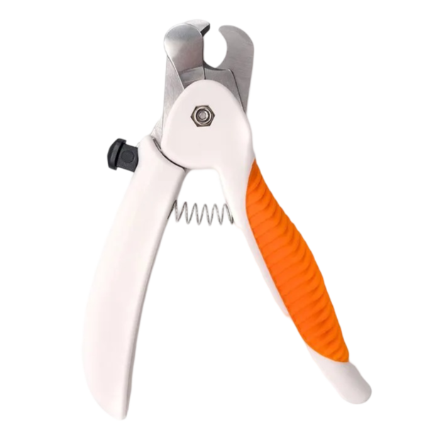 View of how to properly use a dog clipper to give your dog a haircut