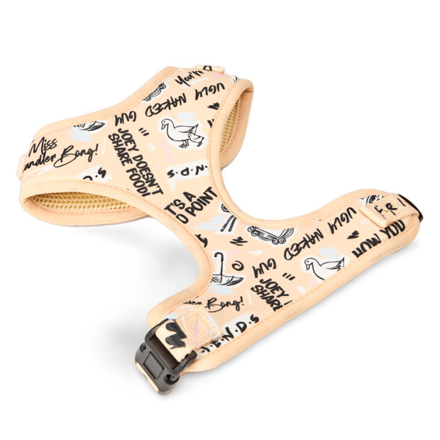 Buy warner bros friends dog harness online better prices at pet circle