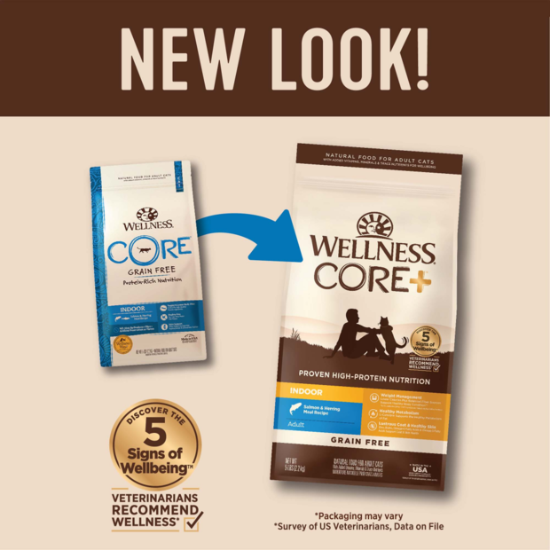 Buy Wellness Core Grain Free Indoor Salmon And Herring Dry Cat Food