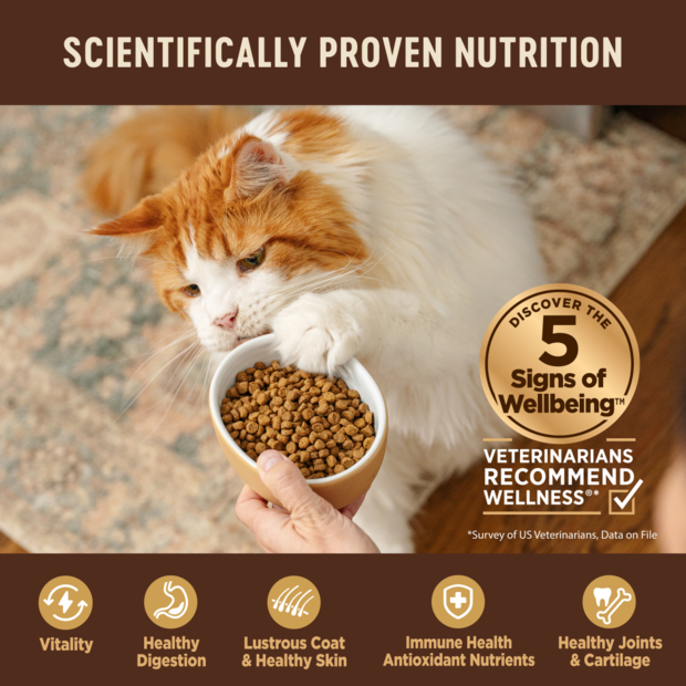 Buy Wellness Core Grain Free Original Formula Dry Cat Food Online Low