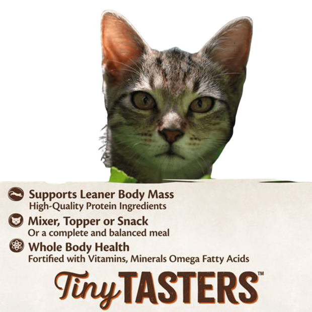 Buy Wellness Core Tiny Tasters Tuna Pate Wet Cat Food Online Better