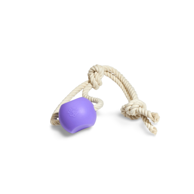 thumbnail image 2 of Ball With Rope Dog Toy,Fling Dura Foam Ball Dog Toy,Dog Water Float Toy Ballsmall Medium Large Dog Tug Toy 2 75inchsmall Medium Dog 2 of 13