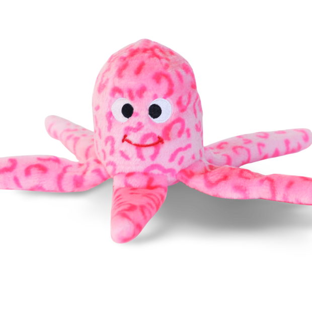 Buy Zippypaws Floppy Jelly Soft Dog Toy Online Better Prices At Pet