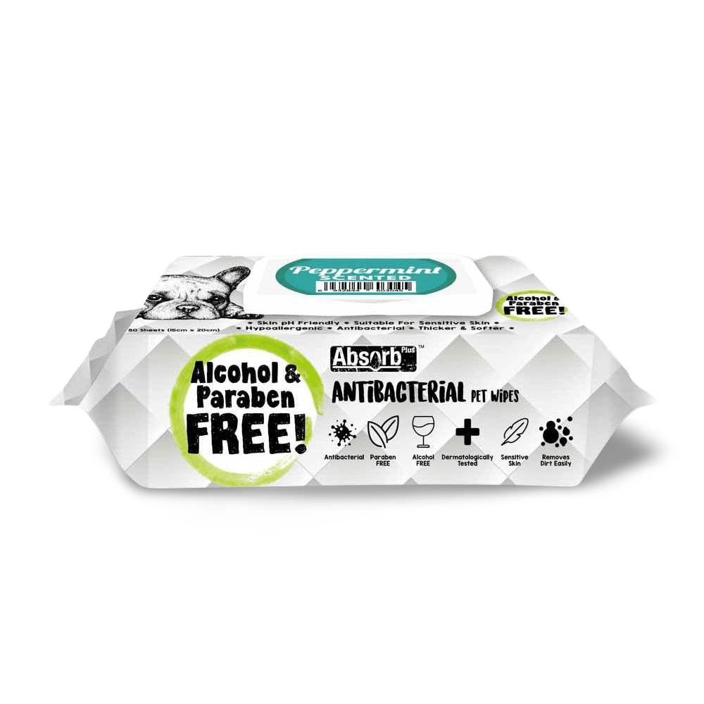 Absorb Plus Antibacterial Pet Wipes Peppermint Pet Circle