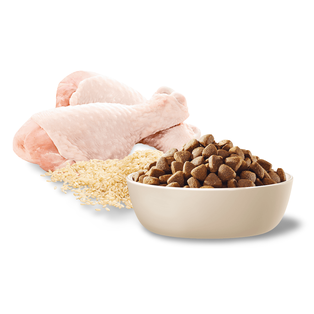 pet circle advance dog food