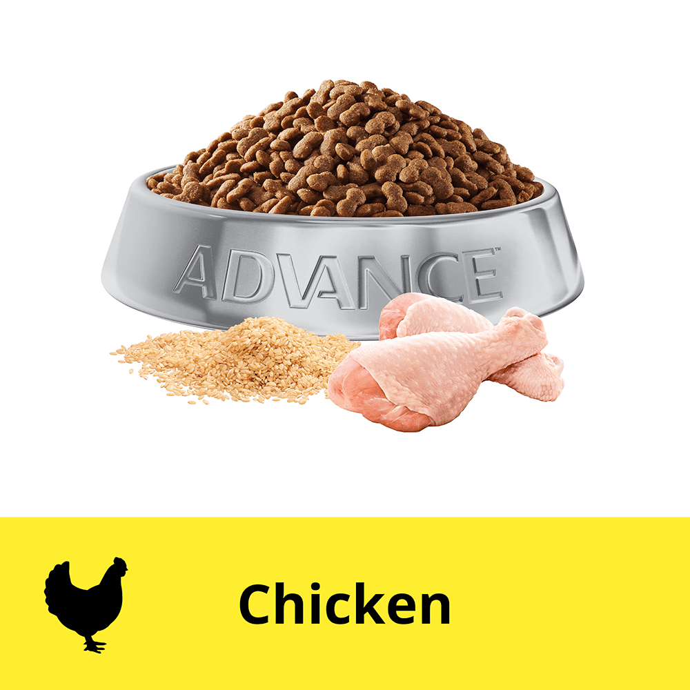 Buy Advance Adult Dental Oral Dry Cat Food Chicken Online Low Prices