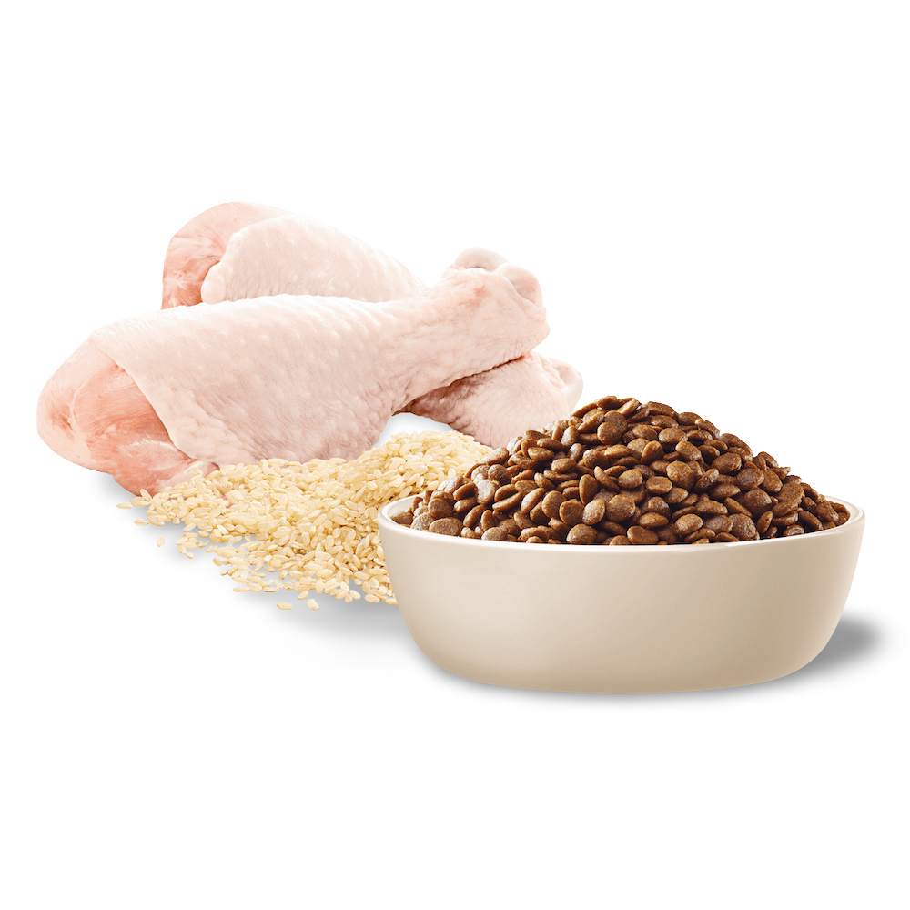 Buy Advance Adult Dry Cat Food Chicken With Rice Online Better Prices