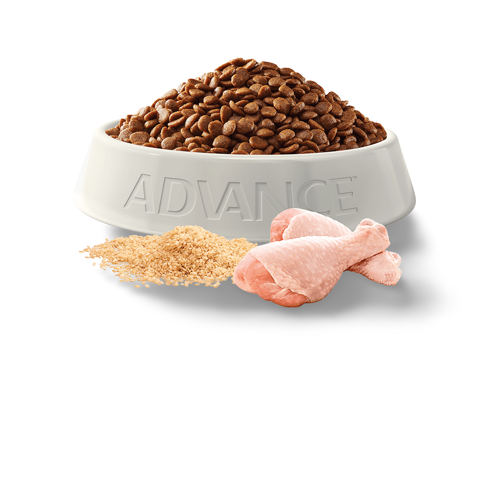 Buy Advance Adult Dry Cat Food Chicken Online Low Prices, Free Shipping