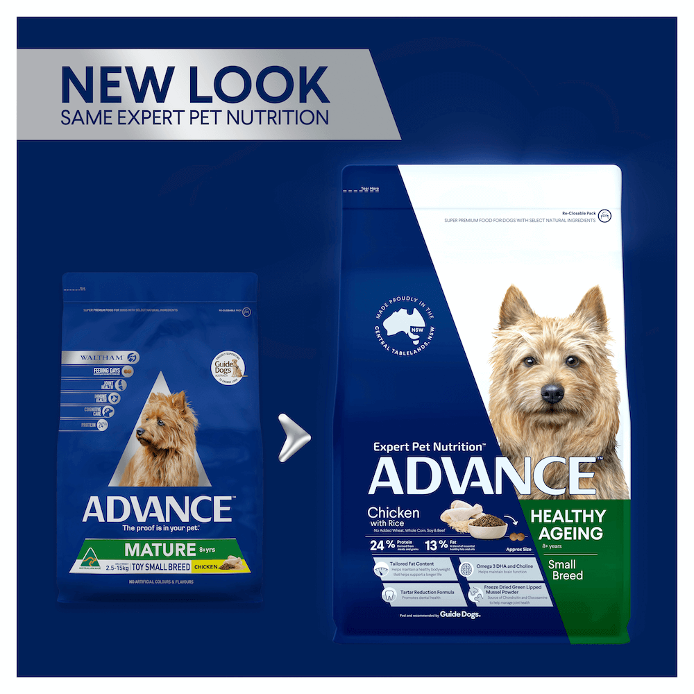 Buy Advance Healthy Ageing Small Adult Dry Dog Food Chicken With Rice