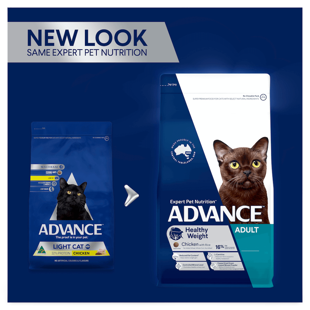 Buy Advance Healthy Weight Adult Dry Cat Food Chicken With Rice Online