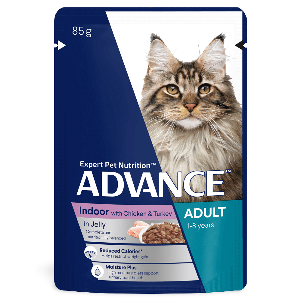 Buy Advance Indoor Adult Wet Cat Food Chicken And Turkey In Jelly