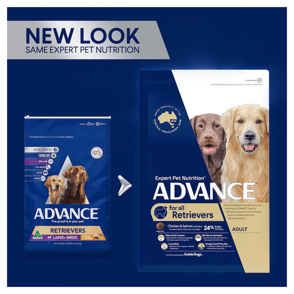 pet circle advance dog food